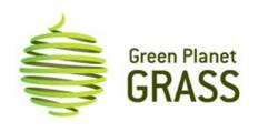Synthetic Grass
